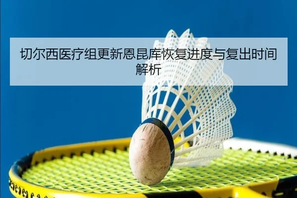切尔西医疗组更新恩昆库恢复进度与复出时间解析