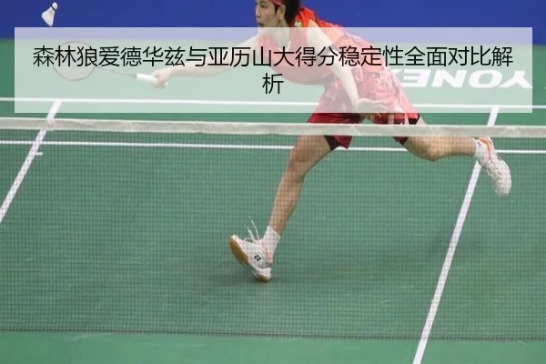 森林狼爱德华兹与亚历山大得分稳定性全面对比解析